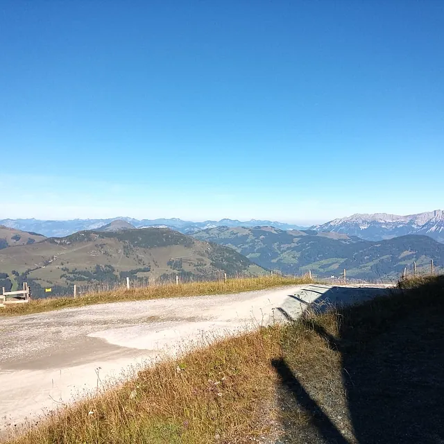 Riedl Gase Firmenwagen