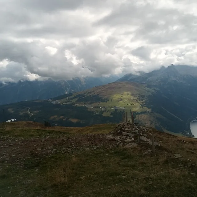 Riedl Gase Firmenwagen