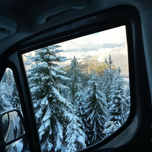 Riedl Gase Firmenwagen